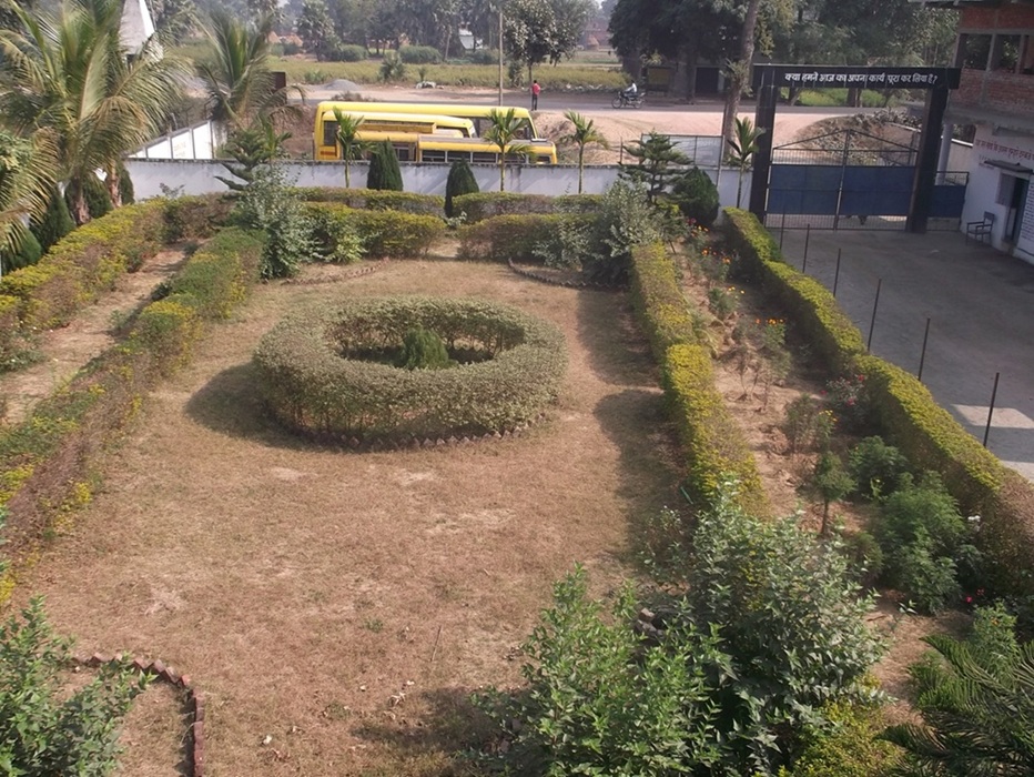 school garden 